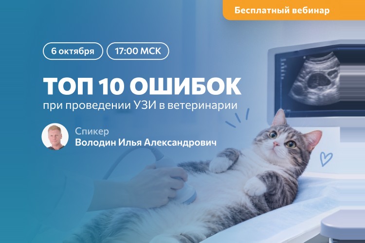 Топ 10 ошибок при проведении УЗИ в ветеринарии